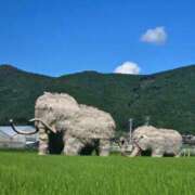 ヒメ日記 2025/09/24 12:06 投稿 香野しおね 五十路マダムエクスプレス船橋店(カサブランカグループ)