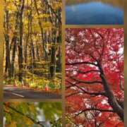 ヒメ日記 2025/11/11 22:04 投稿 香野しおね 五十路マダムエクスプレス船橋店(カサブランカグループ)