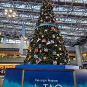 ヒメ日記 2025/11/16 12:02 投稿 香野しおね 五十路マダムエクスプレス船橋店(カサブランカグループ)