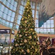 ヒメ日記 2025/12/18 10:26 投稿 香野しおね 五十路マダムエクスプレス船橋店(カサブランカグループ)