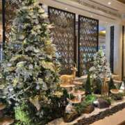 ヒメ日記 2025/12/23 12:22 投稿 香野しおね 五十路マダムエクスプレス船橋店(カサブランカグループ)