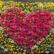 ヒメ日記 2026/02/09 09:30 投稿 香野しおね 五十路マダムエクスプレス船橋店(カサブランカグループ)