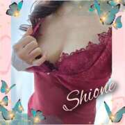 ヒメ日記 2026/02/13 23:32 投稿 香野しおね 五十路マダムエクスプレス船橋店(カサブランカグループ)