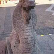 ヒメ日記 2026/02/17 11:54 投稿 香野しおね 五十路マダムエクスプレス船橋店(カサブランカグループ)