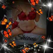 ヒメ日記 2026/02/17 14:56 投稿 香野しおね 五十路マダムエクスプレス船橋店(カサブランカグループ)