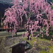 ヒメ日記 2026/02/17 15:06 投稿 香野しおね 五十路マダムエクスプレス船橋店(カサブランカグループ)