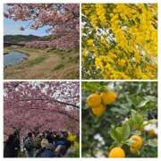 ヒメ日記 2026/02/21 23:06 投稿 香野しおね 五十路マダムエクスプレス船橋店(カサブランカグループ)