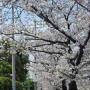 ヒメ日記 2026/03/30 11:22 投稿 香野しおね 五十路マダムエクスプレス船橋店(カサブランカグループ)