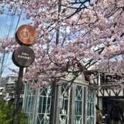 ヒメ日記 2026/04/19 12:28 投稿 香野しおね 五十路マダムエクスプレス船橋店(カサブランカグループ)