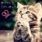 ヒメ日記 2025/12/16 07:35 投稿 小沢 まき こあくまな熟女たち小倉店（KOAKUMAグループ）