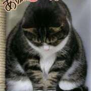 ヒメ日記 2026/03/03 06:09 投稿 小沢 まき こあくまな熟女たち小倉店（KOAKUMAグループ）