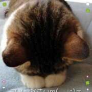 ヒメ日記 2026/03/05 09:17 投稿 小沢 まき こあくまな熟女たち小倉店（KOAKUMAグループ）