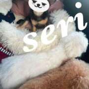 ヒメ日記 2025/12/30 19:44 投稿 合法的にトベる女『セリちゃん』 グッドスマイル