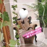 ヒメ日記 2025/08/30 12:02 投稿 ふうか Number Five 品川（シンデレラグループ）