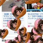 ヒメ日記 2026/03/09 07:15 投稿 ゆゆ☆E乳色白天使ちゃん！ JKサークル