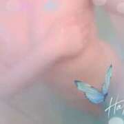 ヒメ日記 2025/09/01 07:37 投稿 りょう 素人妻御奉仕倶楽部Hip's松戸店