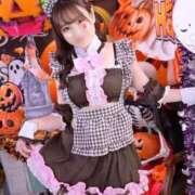 ヒメ日記 2026/10/03 12:12 投稿 ゆいな 新宿プチドール