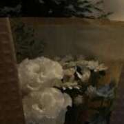 ヒメ日記 2026/01/31 23:04 投稿 りな 渋谷くいーんず