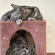 ヒメ日記 2026/02/22 23:01 投稿 りな 渋谷くいーんず