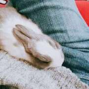 ヒメ日記 2025/08/03 00:14 投稿 ともみ 人妻倶楽部 内緒の関係 大宮店