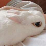 ヒメ日記 2025/08/03 19:14 投稿 ともみ 人妻倶楽部 内緒の関係 大宮店