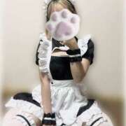 ヒメ日記 2025/08/10 20:26 投稿 葉月まゆ DEEPS成田店