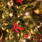 ヒメ日記 2025/12/17 13:16 投稿 桜井美亜 五十路マダム 徳島店