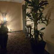 ヒメ日記 2025/08/09 09:10 投稿 せな 性腺熟女100％（デリヘル市場）