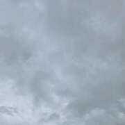 ヒメ日記 2025/08/10 12:00 投稿 せな 性腺熟女100％（デリヘル市場）