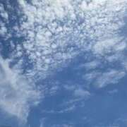 ヒメ日記 2025/08/14 12:05 投稿 せな 性腺熟女100％（デリヘル市場）