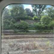 ヒメ日記 2025/08/15 16:10 投稿 せな 性腺熟女100％（デリヘル市場）