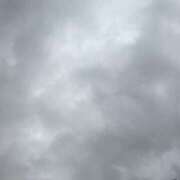 ヒメ日記 2025/08/16 11:25 投稿 せな 性腺熟女100％（デリヘル市場）