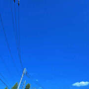 ヒメ日記 2025/09/02 12:00 投稿 せな 性腺熟女100％（デリヘル市場）