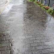 ヒメ日記 2025/09/05 12:00 投稿 せな 性腺熟女100％（デリヘル市場）