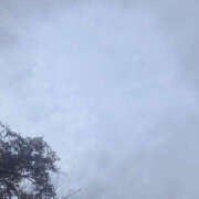 ヒメ日記 2025/09/12 12:15 投稿 せな 性腺熟女100％（デリヘル市場）