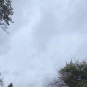 ヒメ日記 2025/09/13 12:00 投稿 せな 性腺熟女100％（デリヘル市場）