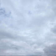 ヒメ日記 2025/09/20 12:00 投稿 せな 性腺熟女100％（デリヘル市場）