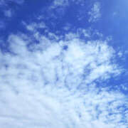 ヒメ日記 2025/09/21 12:00 投稿 せな 性腺熟女100％（デリヘル市場）