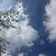 ヒメ日記 2025/10/05 12:00 投稿 せな 性腺熟女100％（デリヘル市場）