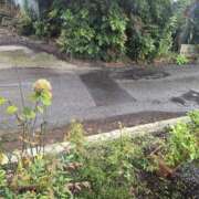 ヒメ日記 2025/10/16 12:00 投稿 せな 性腺熟女100％（デリヘル市場）