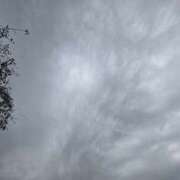 ヒメ日記 2025/10/19 12:00 投稿 せな 性腺熟女100％（デリヘル市場）