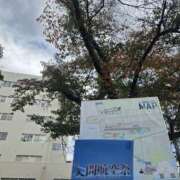 ヒメ日記 2025/11/03 10:40 投稿 せな 性腺熟女100％（デリヘル市場）