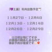 ヒメ日記 2025/11/04 17:51 投稿 うみ マリン土浦本店