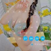 ヒメ日記 2025/11/26 20:03 投稿 うみ マリン土浦本店