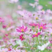 あんり ご無沙汰しております 熟女の風俗最終章 町田店