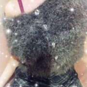 ヒメ日記 2025/10/29 22:14 投稿 瀬戸　なずな Oasis(薬研堀)