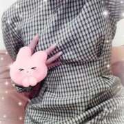 ヒメ日記 2025/11/13 12:34 投稿 瀬戸　なずな Oasis(薬研堀)