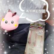 ヒメ日記 2025/12/12 14:14 投稿 瀬戸　なずな Oasis(薬研堀)