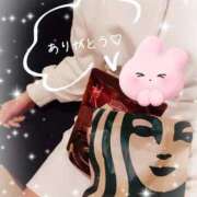 ヒメ日記 2026/01/31 10:04 投稿 瀬戸　なずな Oasis(薬研堀)