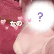 ヒメ日記 2025/09/12 07:22 投稿 なの かぐや姫